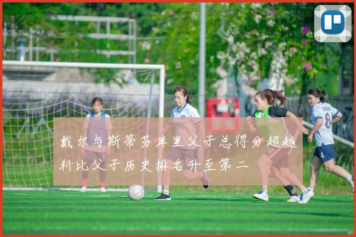 戴尔与斯蒂芬库里父子总得分超越科比父子历史排名升至第二